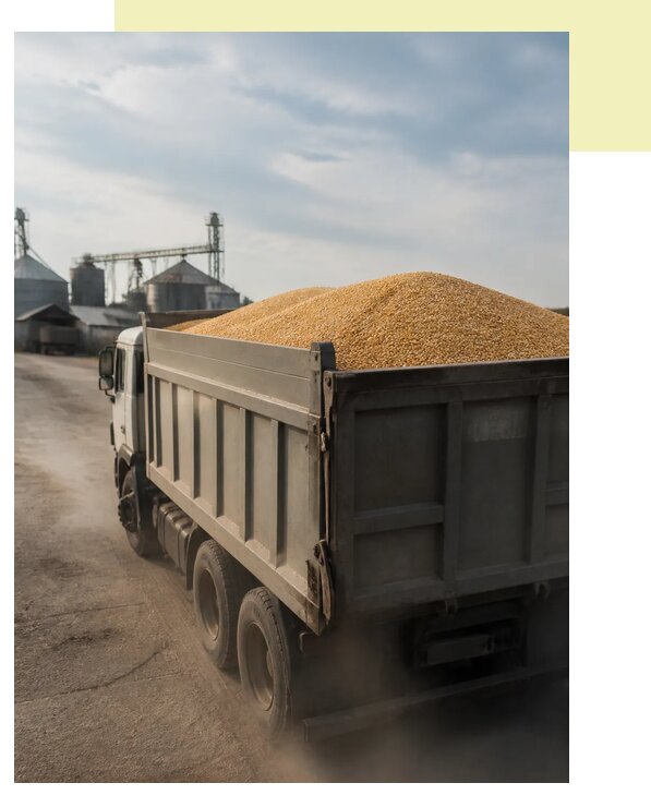 Перевозка сельхозпродукции навалом в Махачкалу по цене от 3107 р. | Агросервис-Мхч